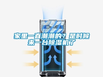 行业新闻家里一直潮潮的？是时候来一台除湿机了