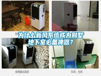 知识百科为什么新风系统成为别墅地下室必备神器？