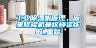 工业除湿机原理，原来除湿机是这样运作的_重复