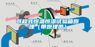 可程式恒温恒湿试验箱原理（带原理图）