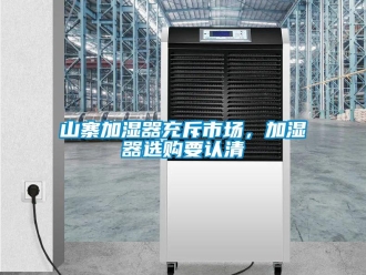 知识百科山寨加湿器充斥市场，加湿器选购要认清