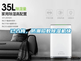 知识百科已入梅，防潮招数除湿机快