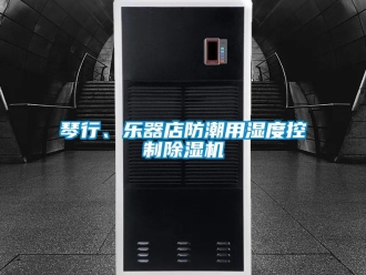 行业新闻琴行、乐器店防潮用湿度控制除湿机