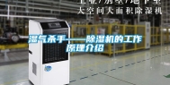 湿气杀手——除湿机的工作原理介绍