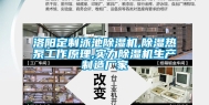 洛阳定制泳池除湿机,除湿热泵工作原理,实力除湿机生产制造厂家