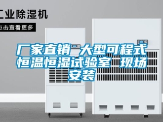 知识百科厂家直销 大型可程式恒温恒湿试验室 现场安装