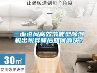 常见问题三面进风高效节能型除湿机出现异味后如何解决？