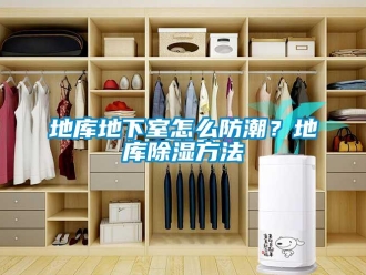企业新闻地库地下室怎么防潮？地库除湿方法
