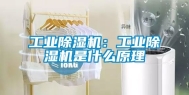工业除湿机：工业除湿机是什么原理