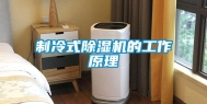 制冷式除湿机的工作原理