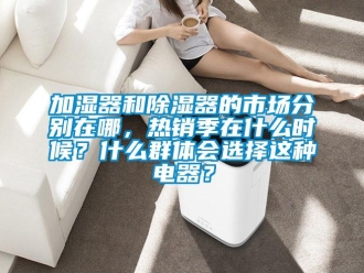 行业新闻加湿器和除湿器的市场分别在哪，热销季在什么时候？什么群体会选择这种电器？