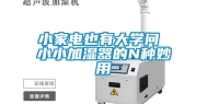 小家电也有大学问 小小加湿器的N种妙用