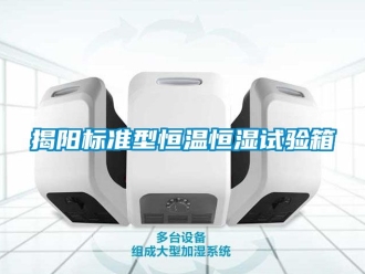 知识百科揭阳标准型恒温恒湿试验箱