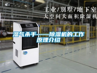 行业新闻湿气杀手——除湿机的工作原理介绍