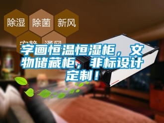 知识百科字画恒温恒湿柜，文物储藏柜，非标设计定制！