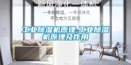 工业除湿机原理,工业除湿机原理及作用
