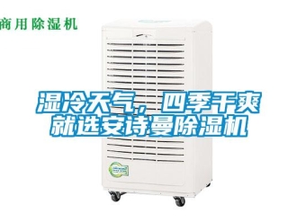 企业新闻湿冷天气，四季干爽就选安诗曼除湿机