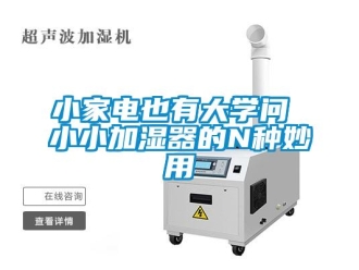 知识百科小家电也有大学问 小小加湿器的N种妙用
