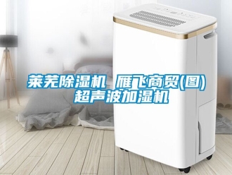 行业新闻莱芜除湿机 雁飞商贸(图) 超声波加湿机