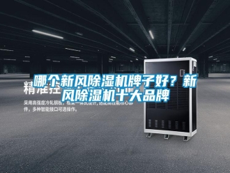 行业新闻哪个新风除湿机牌子好？新风除湿机十大品牌