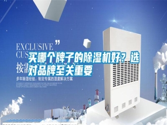 行业新闻买哪个牌子的除湿机好？选对品牌至关重要