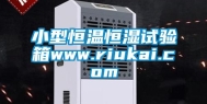 小型恒温恒湿试验箱www.riukai.com