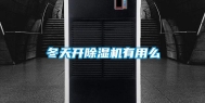 冬天开除湿机有用么