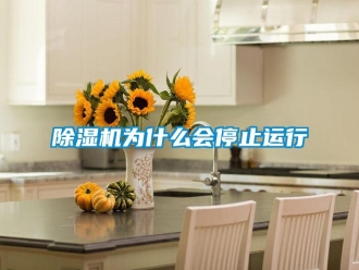 企业新闻除湿机为什么会停止运行