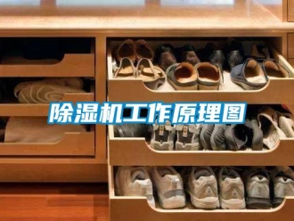 行业新闻除湿机工作原理图