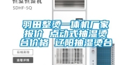 羽田整烫一体机厂家报价 点动式抽湿烫台价格 辽阳抽湿烫台