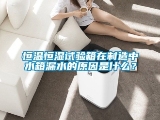 知识百科恒温恒湿试验箱在制造中水箱漏水的原因是什么？