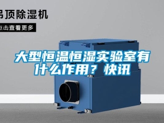 知识百科大型恒温恒湿实验室有什么作用？快讯