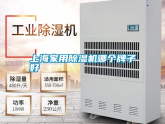 知识百科上海家用除湿机哪个牌子好