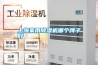 上海家用除湿机哪个牌子好