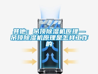 行业新闻其他：吊顶除湿机原理—吊顶除湿机原理是怎样工作的