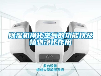 行业新闻除湿机净化空气的功能以及植物净化作用