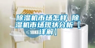 除湿机市场怎样 除湿机市场现状分析【详解】