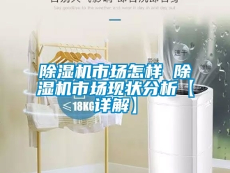 行业新闻除湿机市场怎样 除湿机市场现状分析【详解】