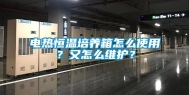 电热恒温培养箱怎么使用？又怎么维护？