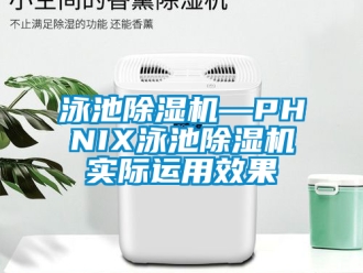 行业新闻泳池除湿机—PHNIX泳池除湿机实际运用效果
