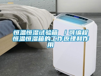 知识百科恒温恒湿试验箱 ／可编程恒温恒湿箱的工作原理和作用