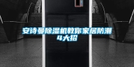 安诗曼除湿机教你家居防潮4大招