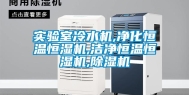 实验室冷水机,净化恒温恒湿机,洁净恒温恒湿机,除湿机
