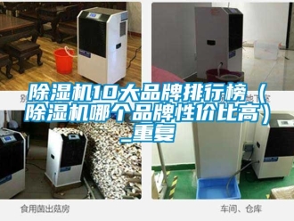 企业新闻除湿机10大品牌排行榜（除湿机哪个品牌性价比高）_重复