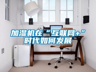 常见问题加湿机在“互联网+”时代如何发展