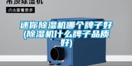 迷你除湿机哪个牌子好(除湿机什么牌子品质好)