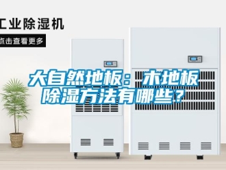 企业新闻大自然地板：木地板除湿方法有哪些？