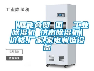 企业新闻【雁飞商贸 图  工业除湿机 济南除湿机】价格,厂家,家电制造设备