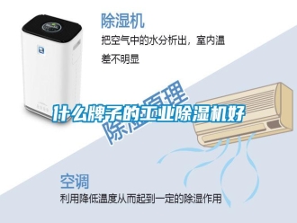 知识百科什么牌子的工业除湿机好