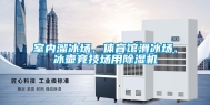 室内溜冰场、体育馆滑冰场、冰壶竞技场用除湿机